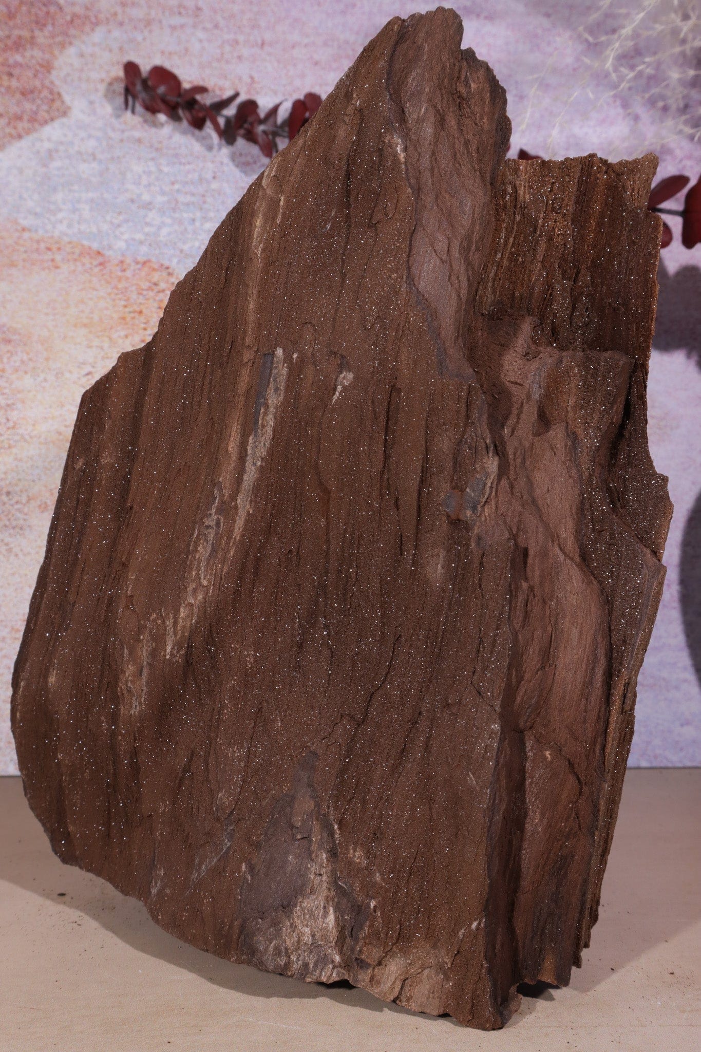 Permineralized wood, 23cm, Sold As Seen Fossil Tali & Loz Crystals