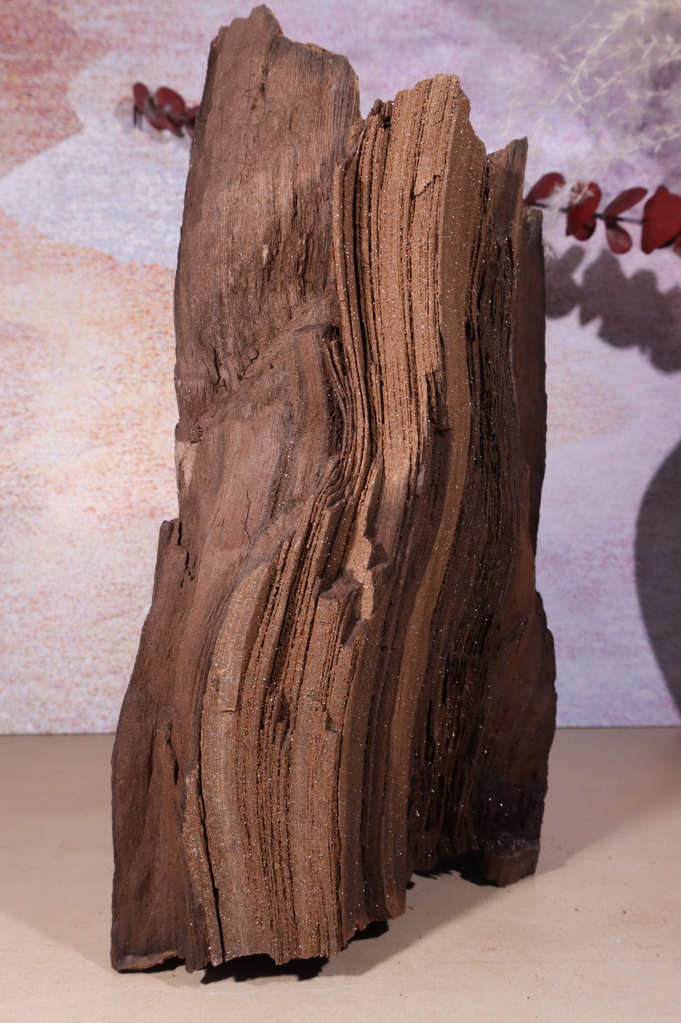 Permineralized wood, 23cm, Sold As Seen Fossil Tali & Loz Crystals