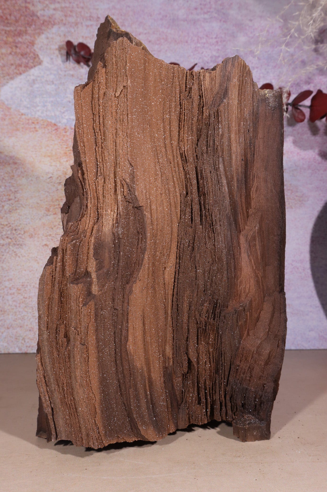 Permineralized wood, 23cm, Sold As Seen Fossil Tali & Loz Crystals
