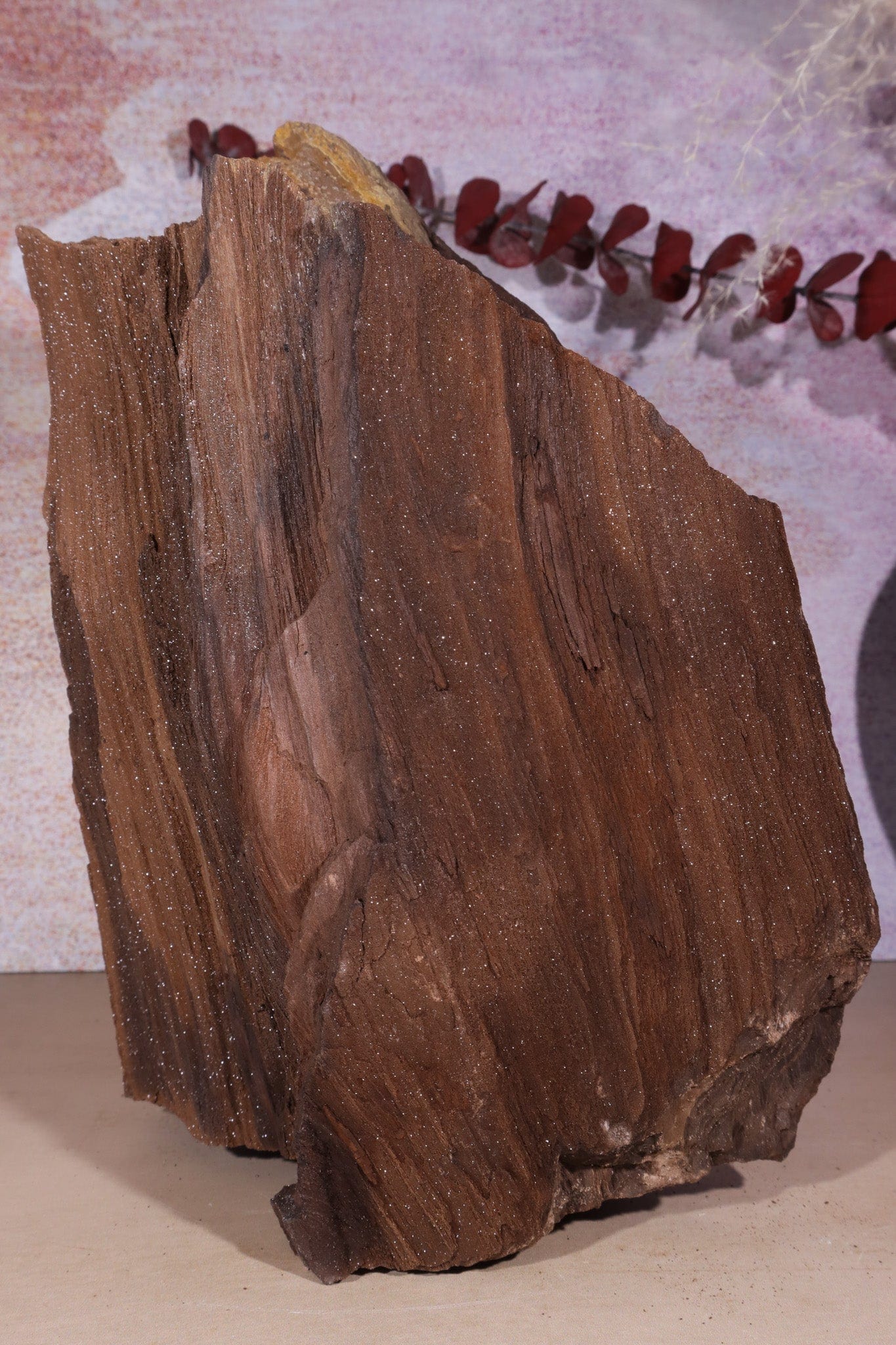 Permineralized wood, 23cm, Sold As Seen Fossil Tali & Loz Crystals