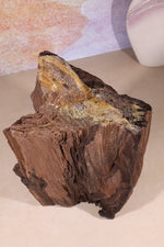 Permineralized wood, 23cm, Sold As Seen Fossil Tali & Loz Crystals