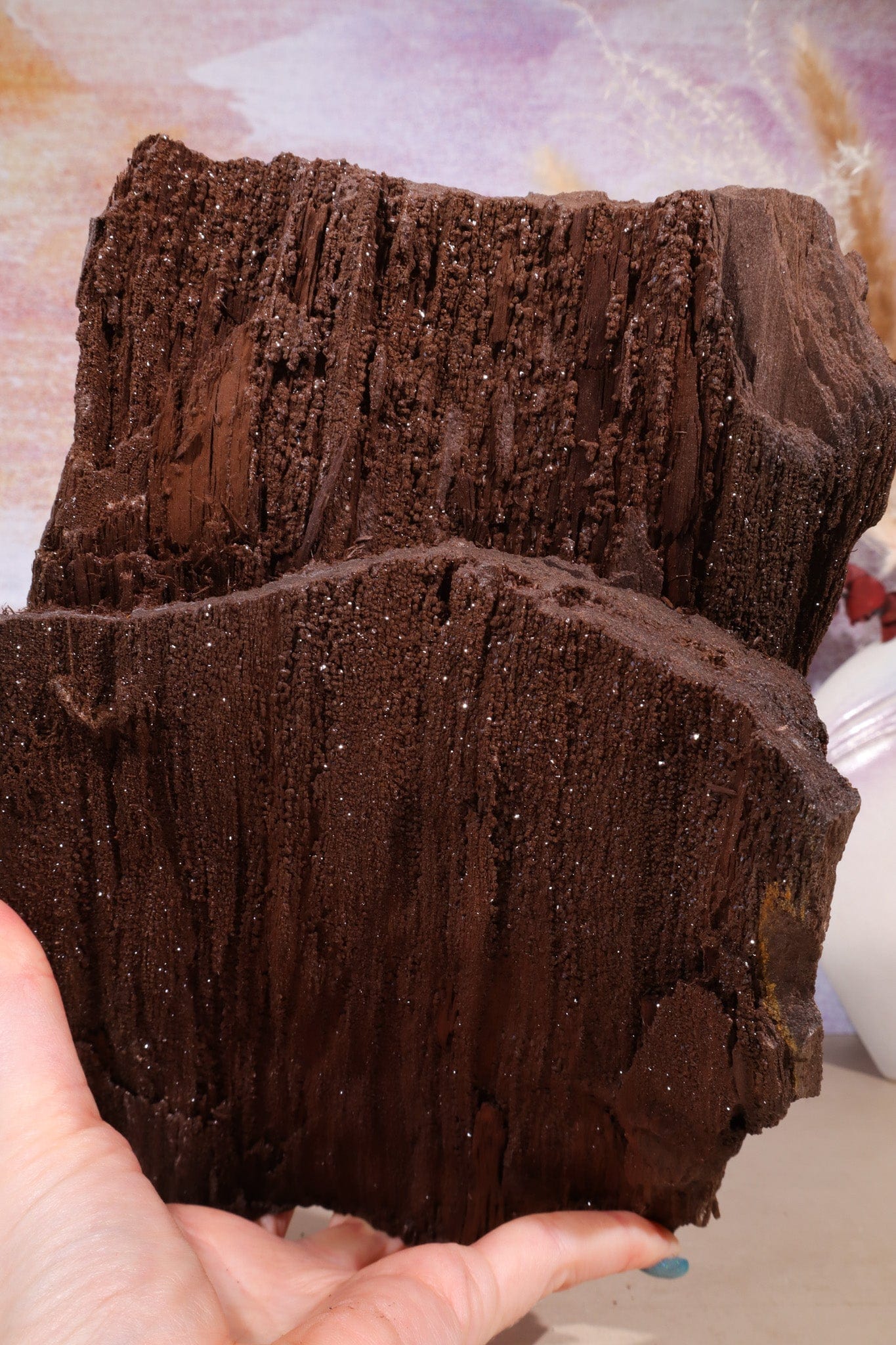 Permineralized wood,23cm, Sold As Seen Fossil Tali & Loz Crystals