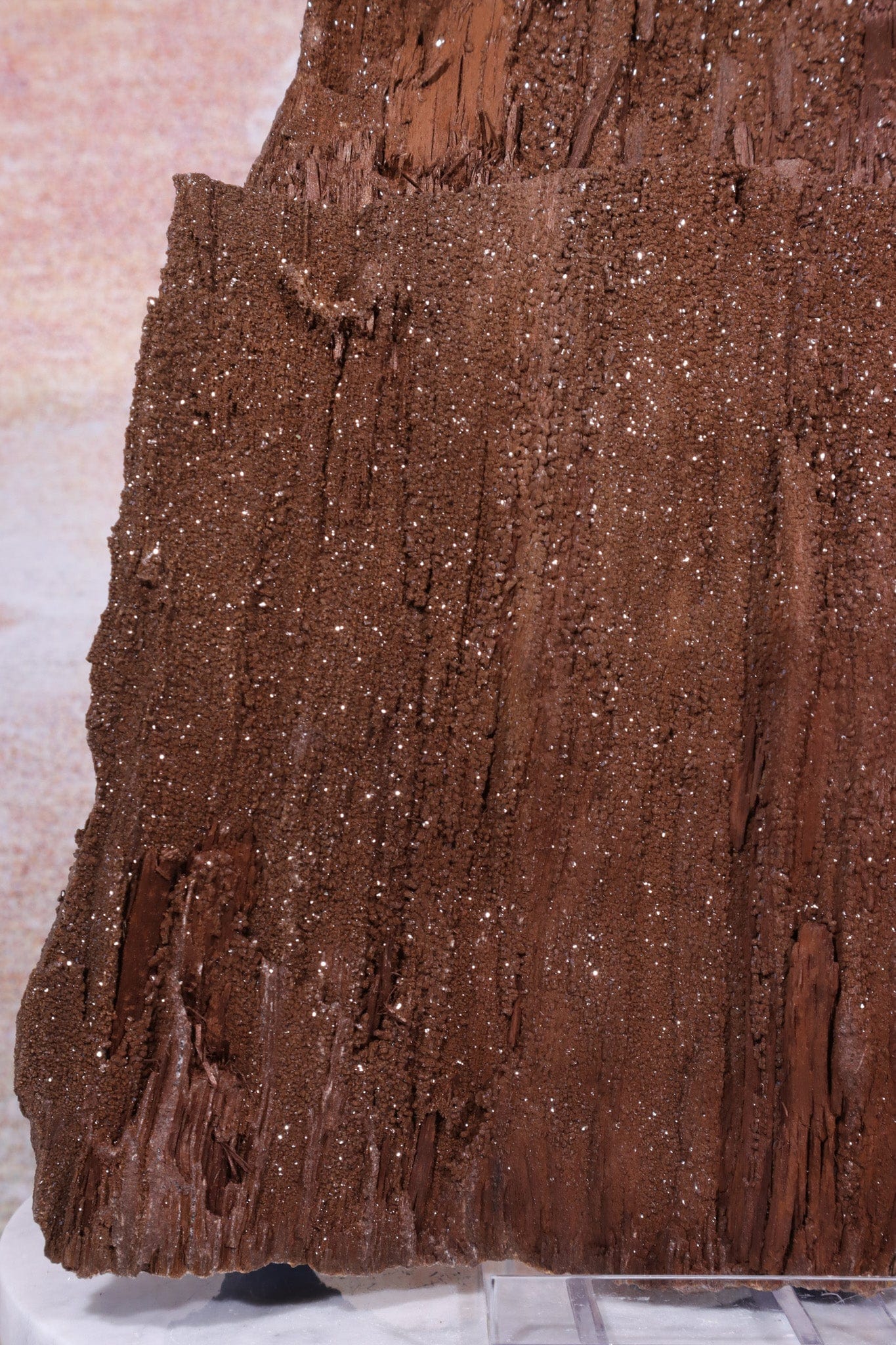 Permineralized wood,23cm, Sold As Seen Fossil Tali & Loz Crystals