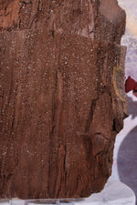 Permineralized wood,23cm, Sold As Seen Fossil Tali & Loz Crystals