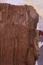 Permineralized wood,23cm, Sold As Seen Fossil Tali & Loz Crystals