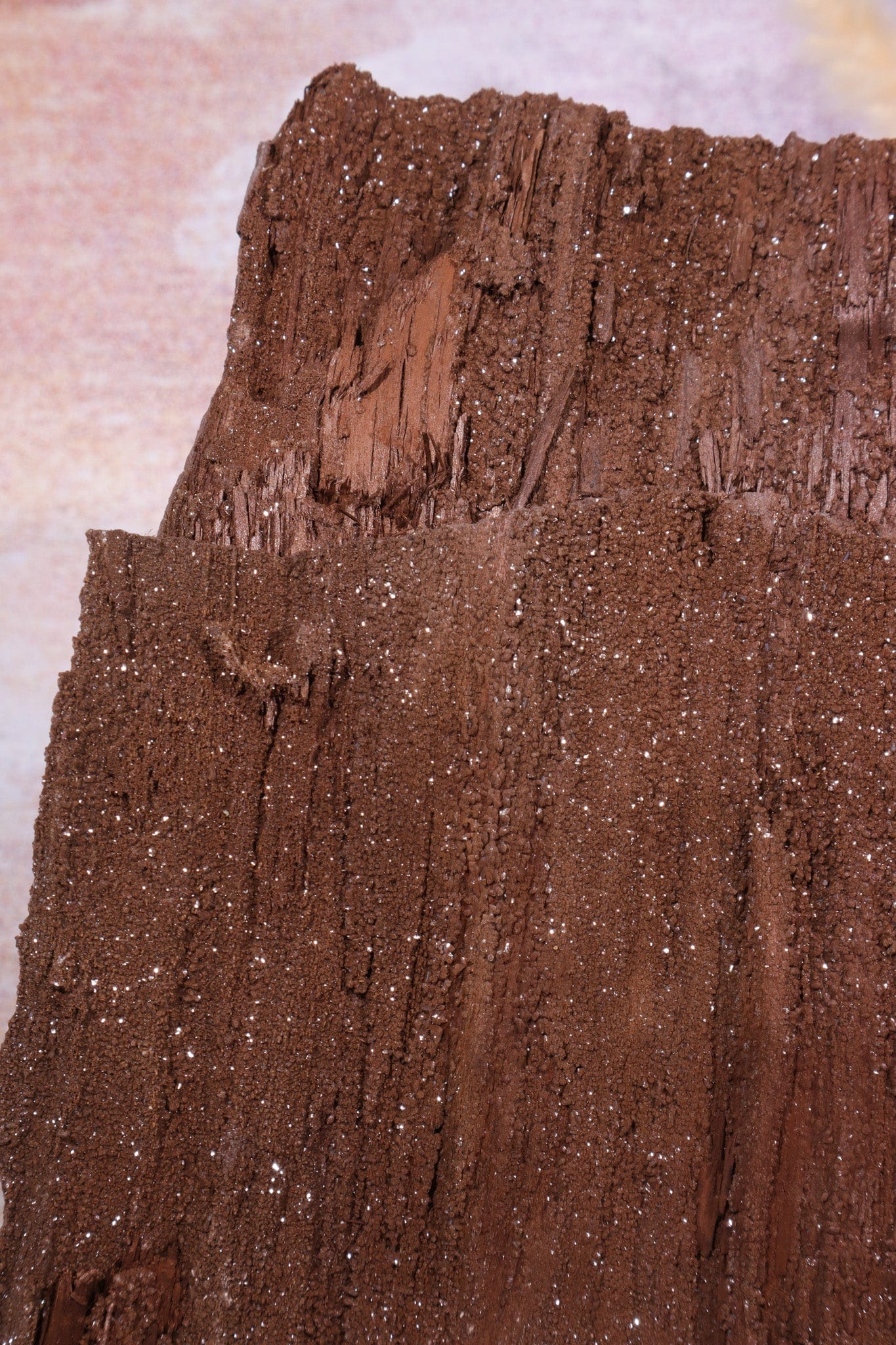 Permineralized wood,23cm, Sold As Seen Fossil Tali & Loz Crystals