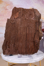 Permineralized wood,23cm, Sold As Seen Fossil Tali & Loz Crystals