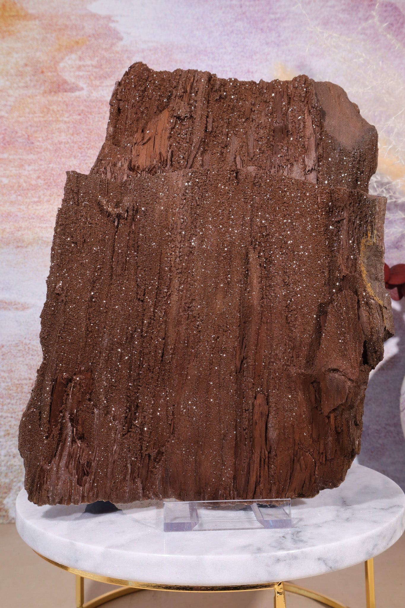 Permineralized wood,23cm, Sold As Seen Fossil Tali & Loz Crystals