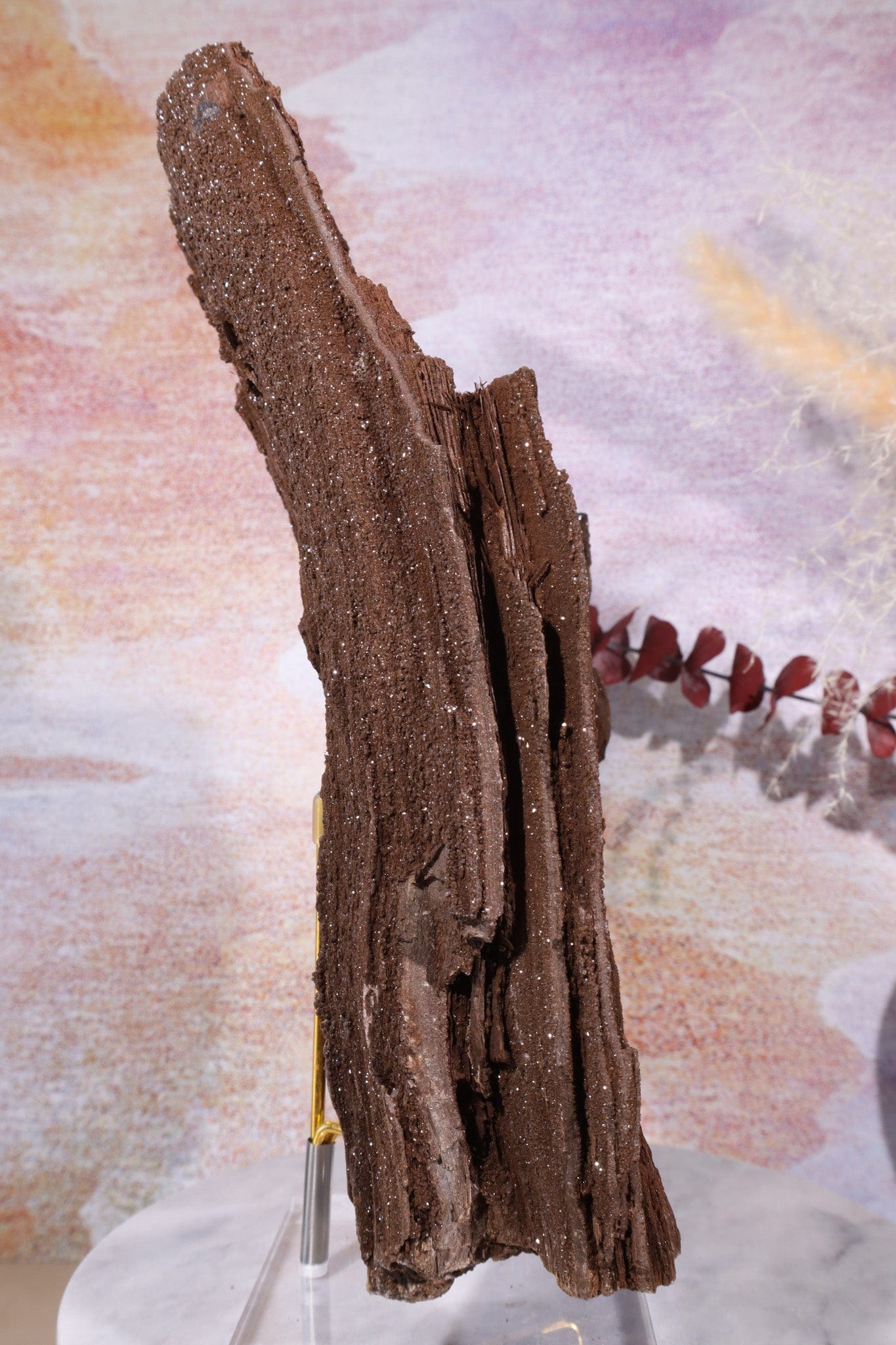 Permineralized wood,23cm, Sold As Seen Fossil Tali & Loz Crystals