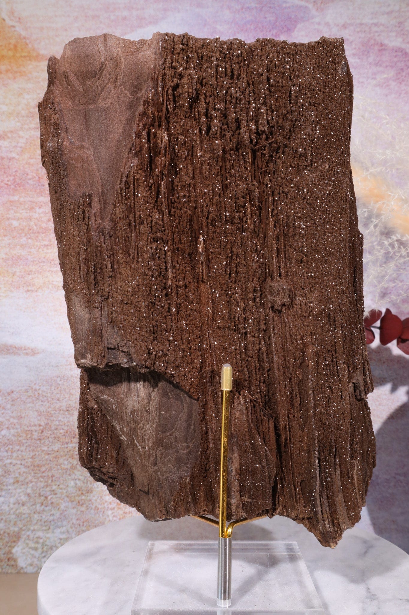 Permineralized wood,23cm, Sold As Seen Fossil Tali & Loz Crystals