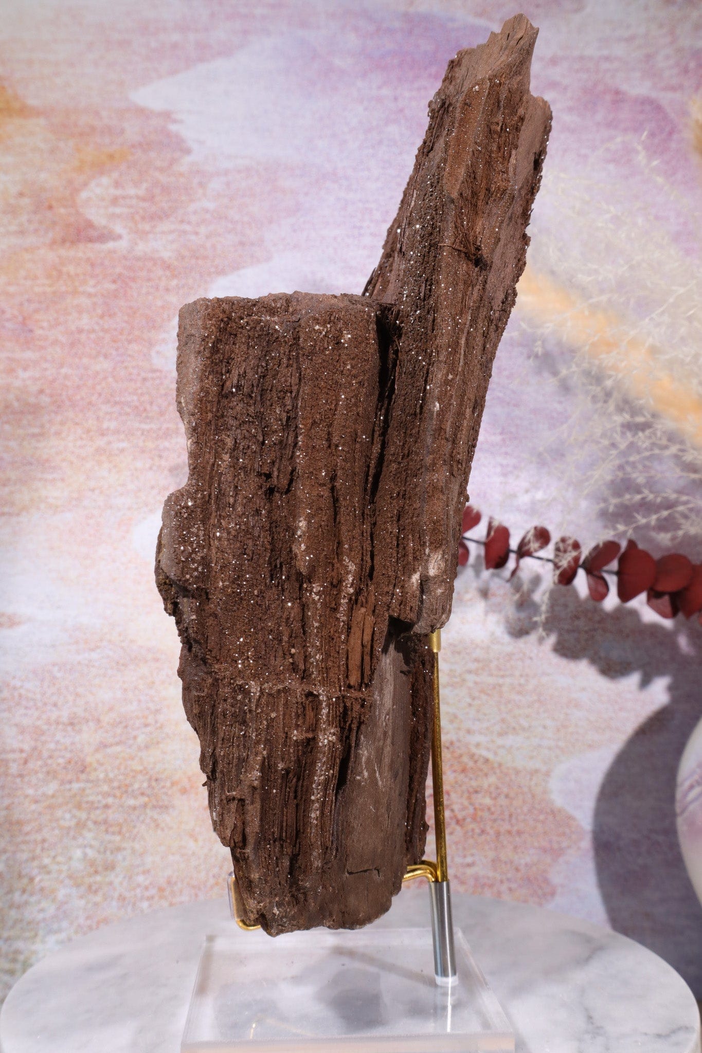 Permineralized wood,23cm, Sold As Seen Fossil Tali & Loz Crystals