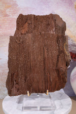 Permineralized wood,23cm, Sold As Seen Fossil Tali & Loz Crystals