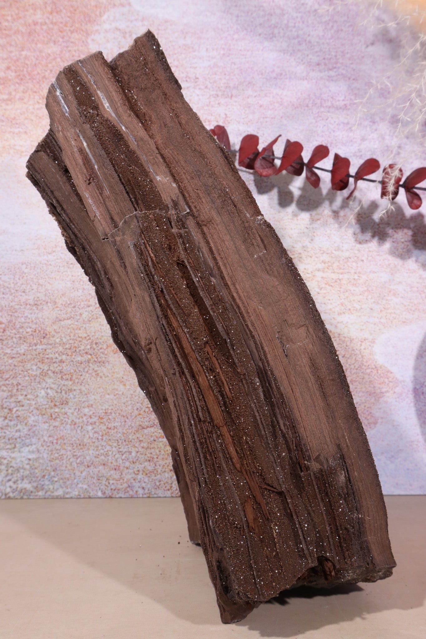 Permineralized wood,25cm, Sold As Seen Fossil Tali & Loz Crystals