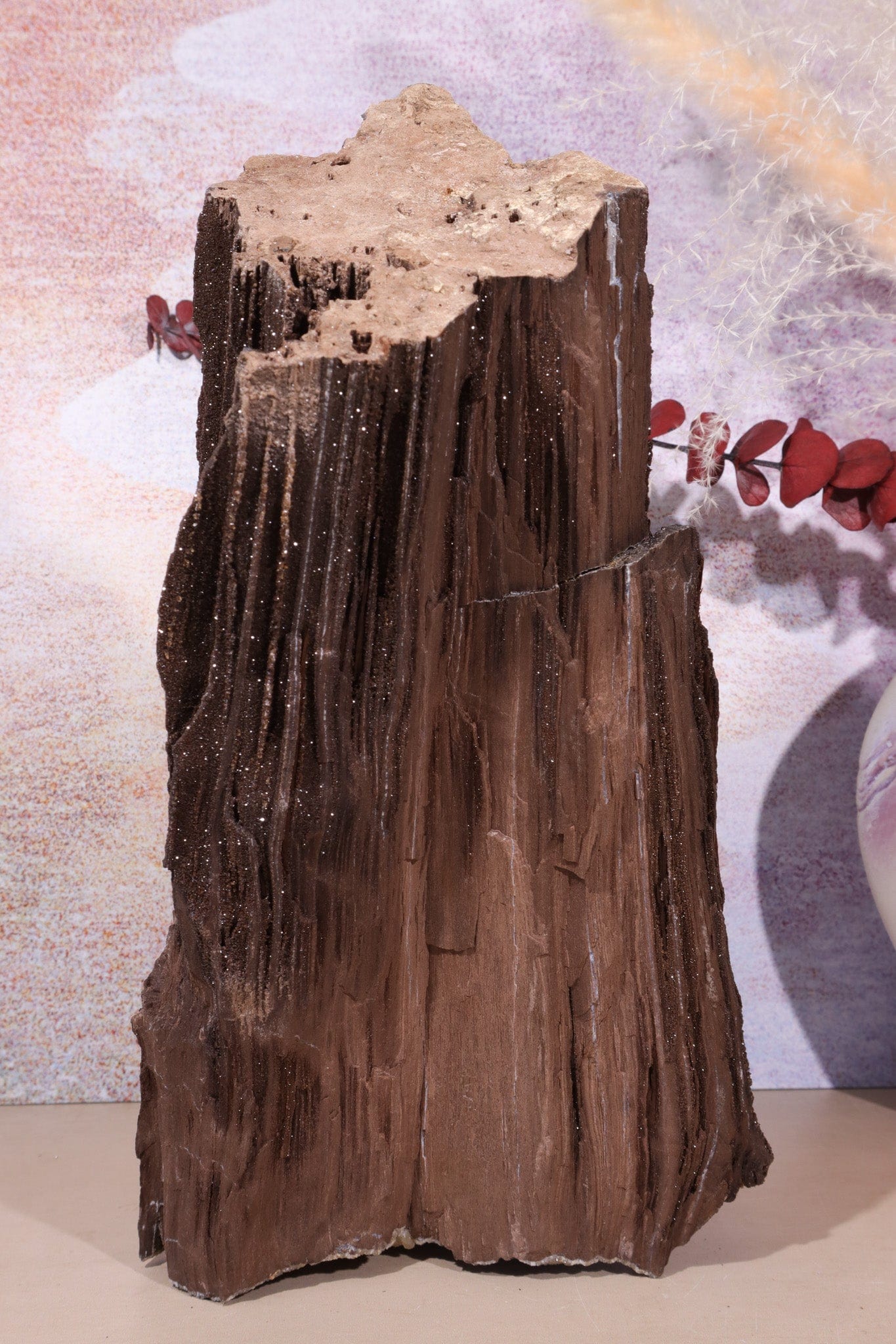 Permineralized wood,25cm, Sold As Seen Fossil Tali & Loz Crystals