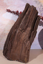 Permineralized wood,25cm, Sold As Seen Fossil Tali & Loz Crystals