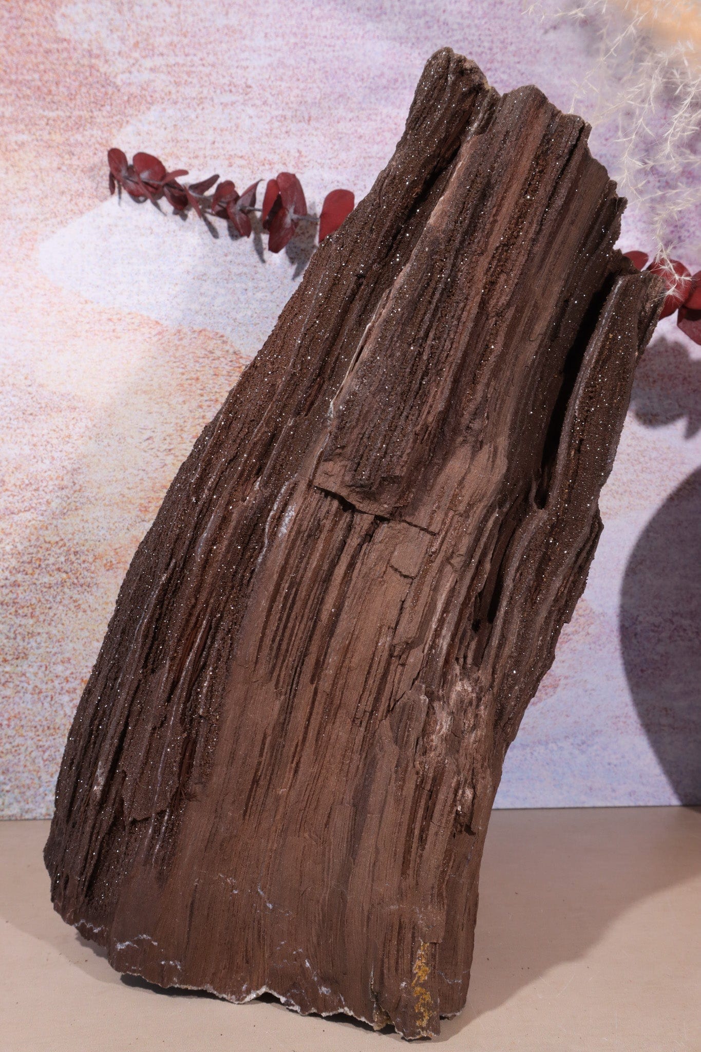 Permineralized wood,25cm, Sold As Seen Fossil Tali & Loz Crystals