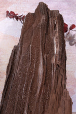 Permineralized wood,25cm, Sold As Seen Fossil Tali & Loz Crystals