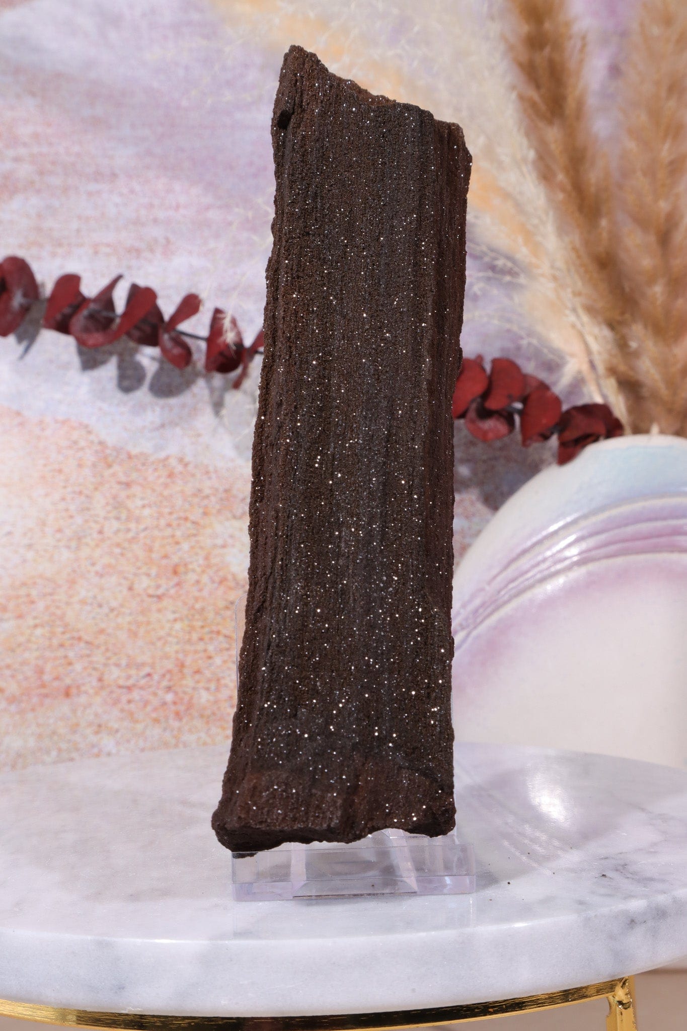 Permineralized wood, 27cm, Sold As Seen Fossil Tali & Loz Crystals