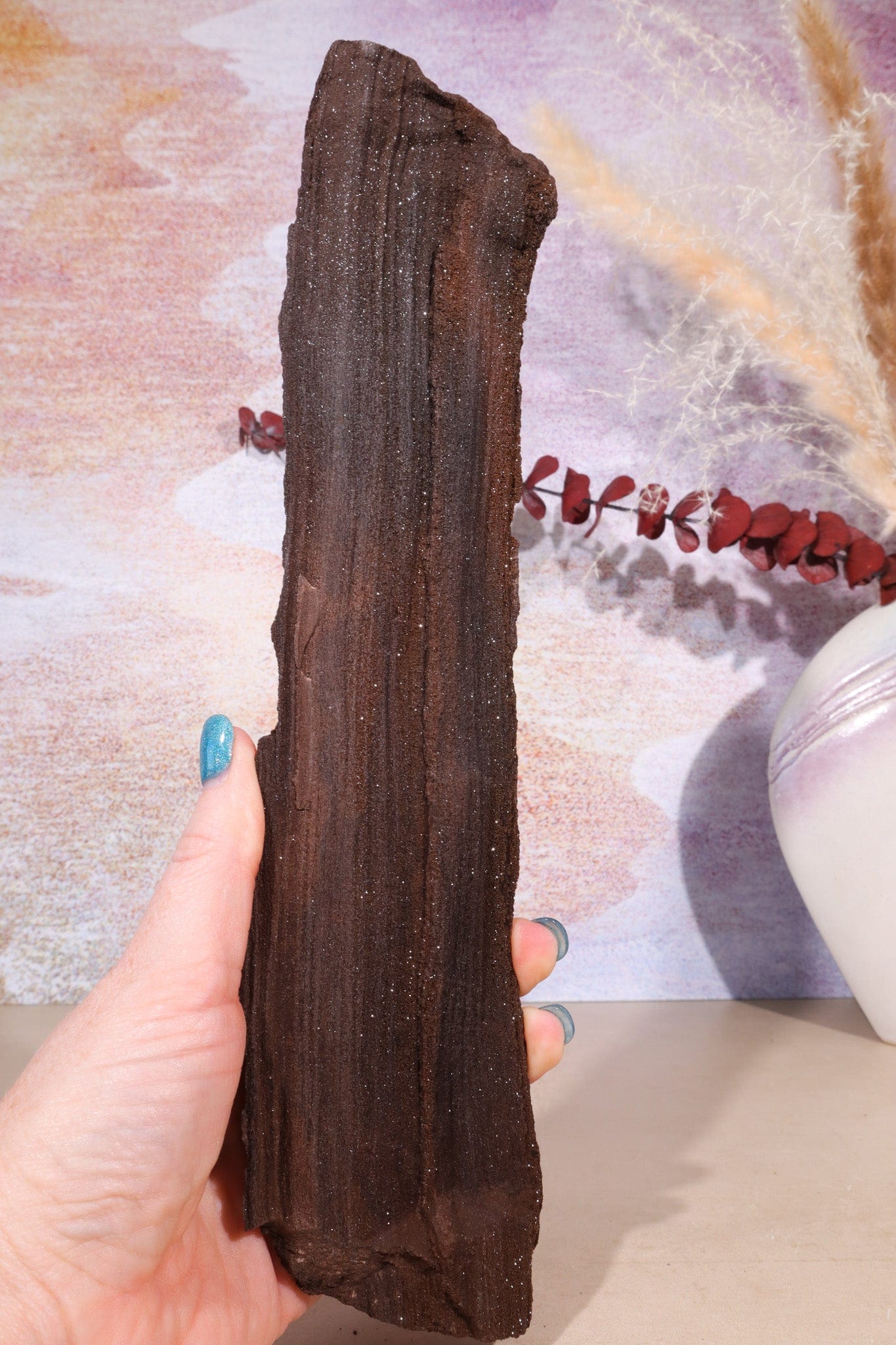 Permineralized wood, 27cm, Sold As Seen Fossil Tali & Loz Crystals