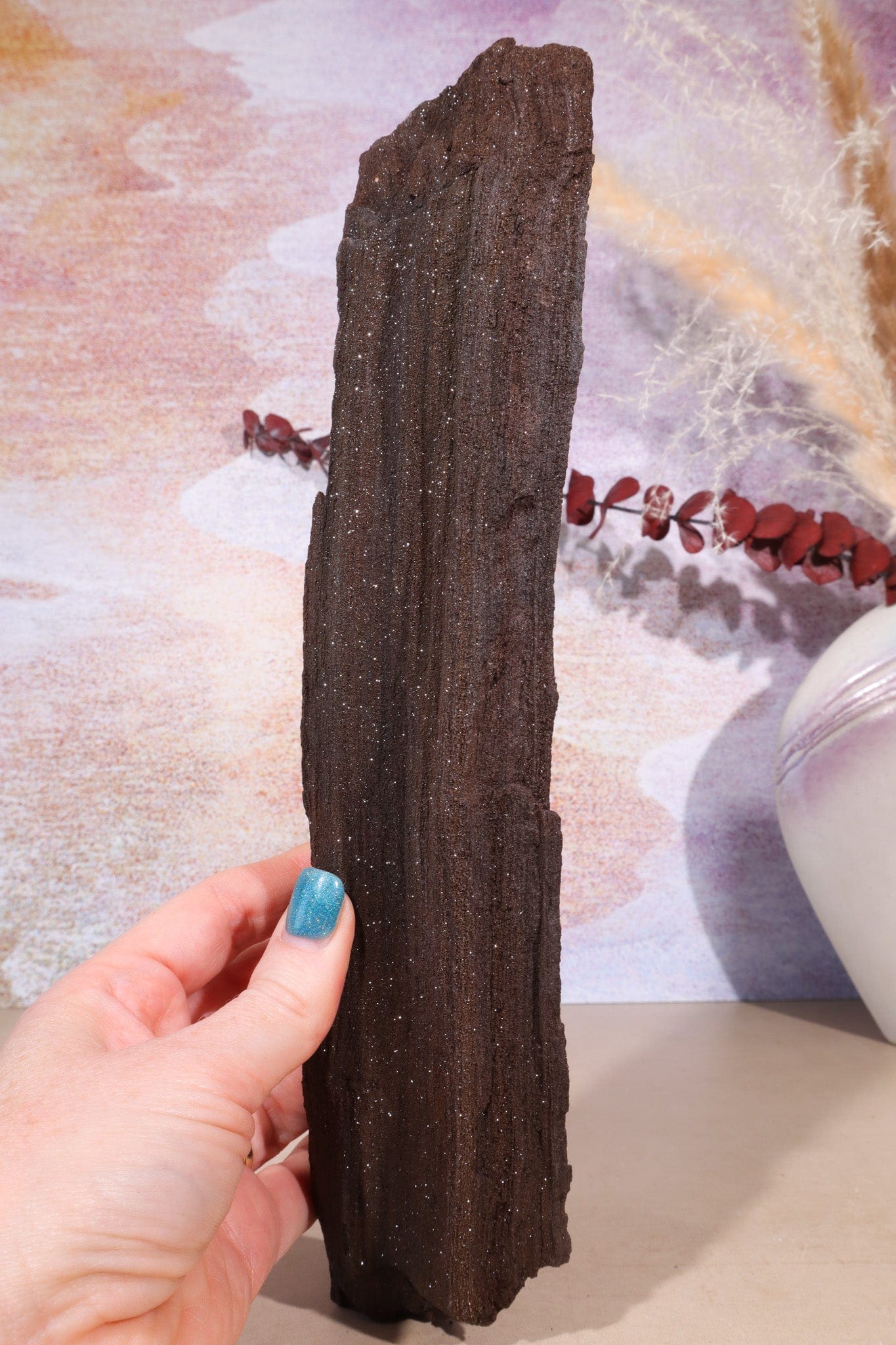 Permineralized wood, 27cm, Sold As Seen Fossil Tali & Loz Crystals