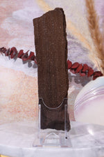Permineralized wood, 27cm, Sold As Seen Fossil Tali & Loz Crystals