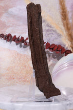 Permineralized wood, 27cm, Sold As Seen Fossil Tali & Loz Crystals