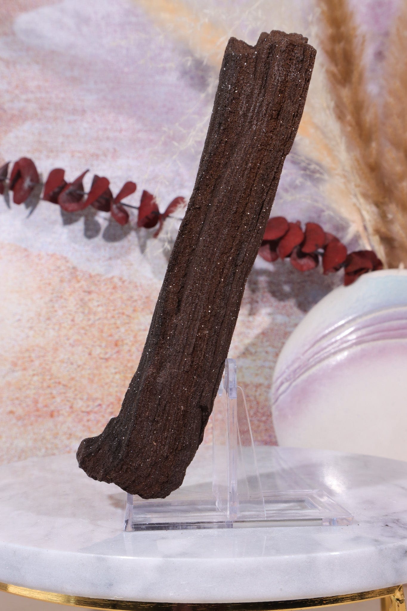 Permineralized wood, 27cm, Sold As Seen Fossil Tali & Loz Crystals