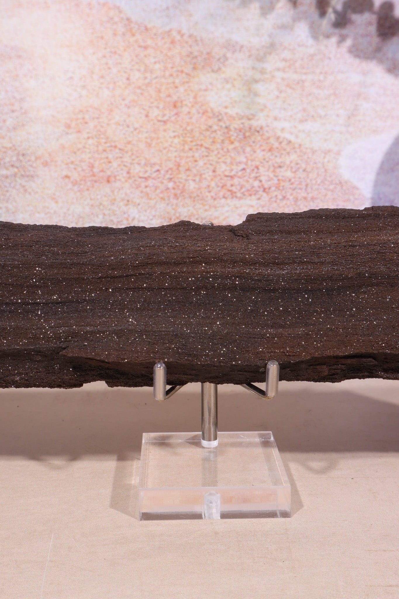 Permineralized wood, 27cm, Sold As Seen Fossil Tali & Loz Crystals