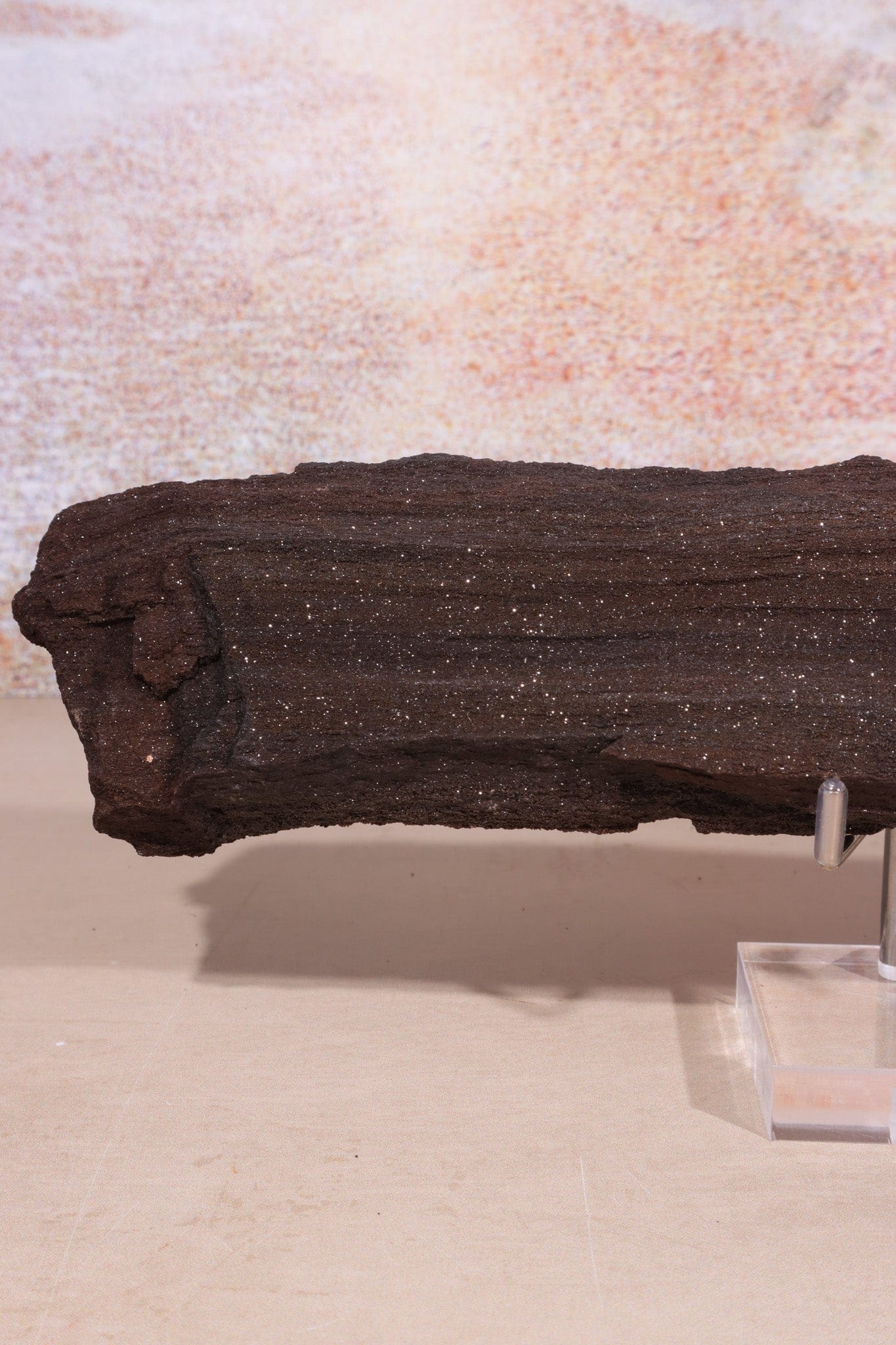 Permineralized wood, 27cm, Sold As Seen Fossil Tali & Loz Crystals