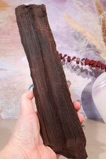 Permineralized wood, 27cm, Sold As Seen Fossil Tali & Loz Crystals