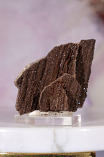 Permineralized wood 3.7cm, Germany Fossil Tali & Loz Crystals