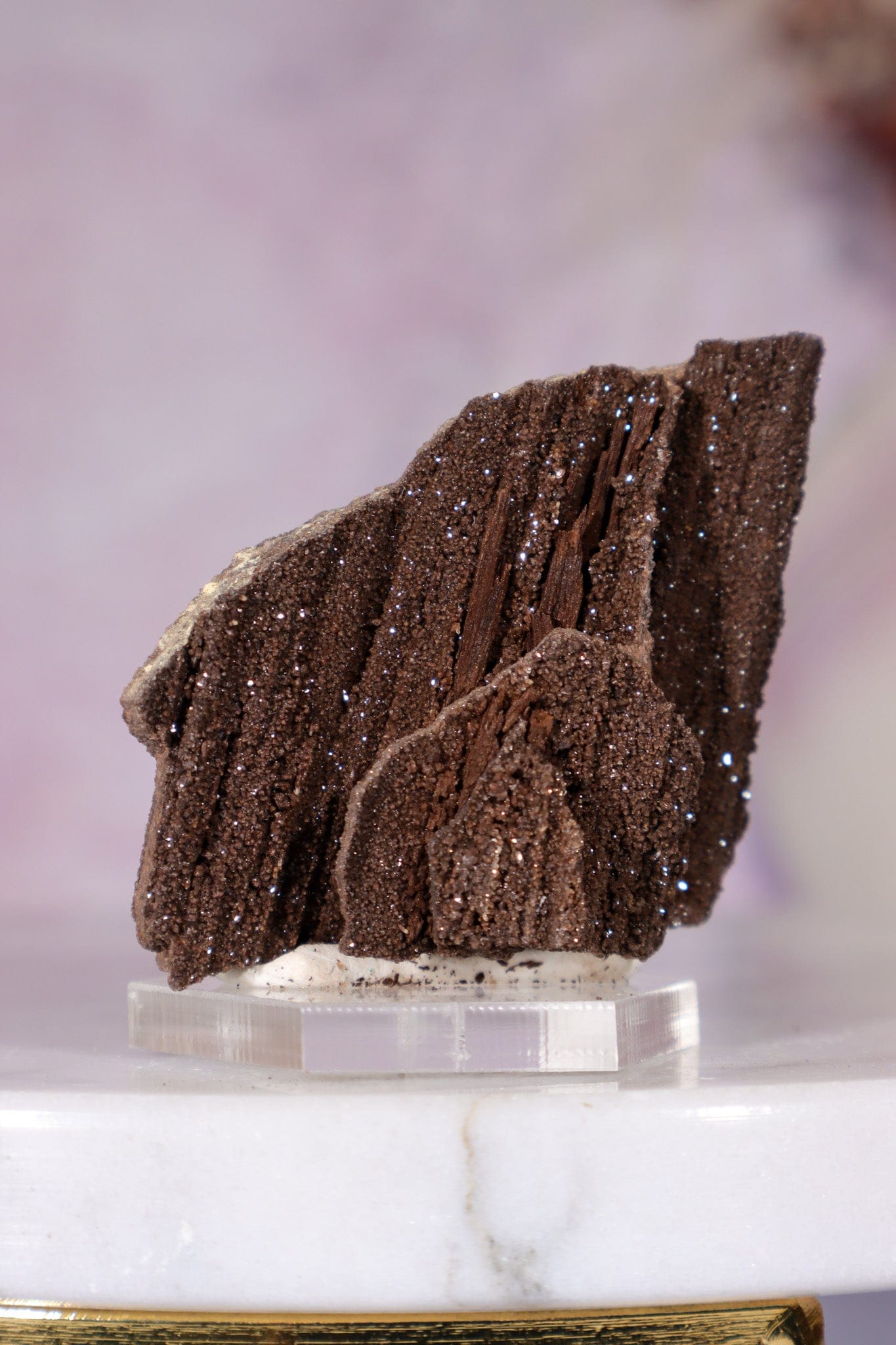 Permineralized wood 3.7cm, Germany Fossil Tali & Loz Crystals