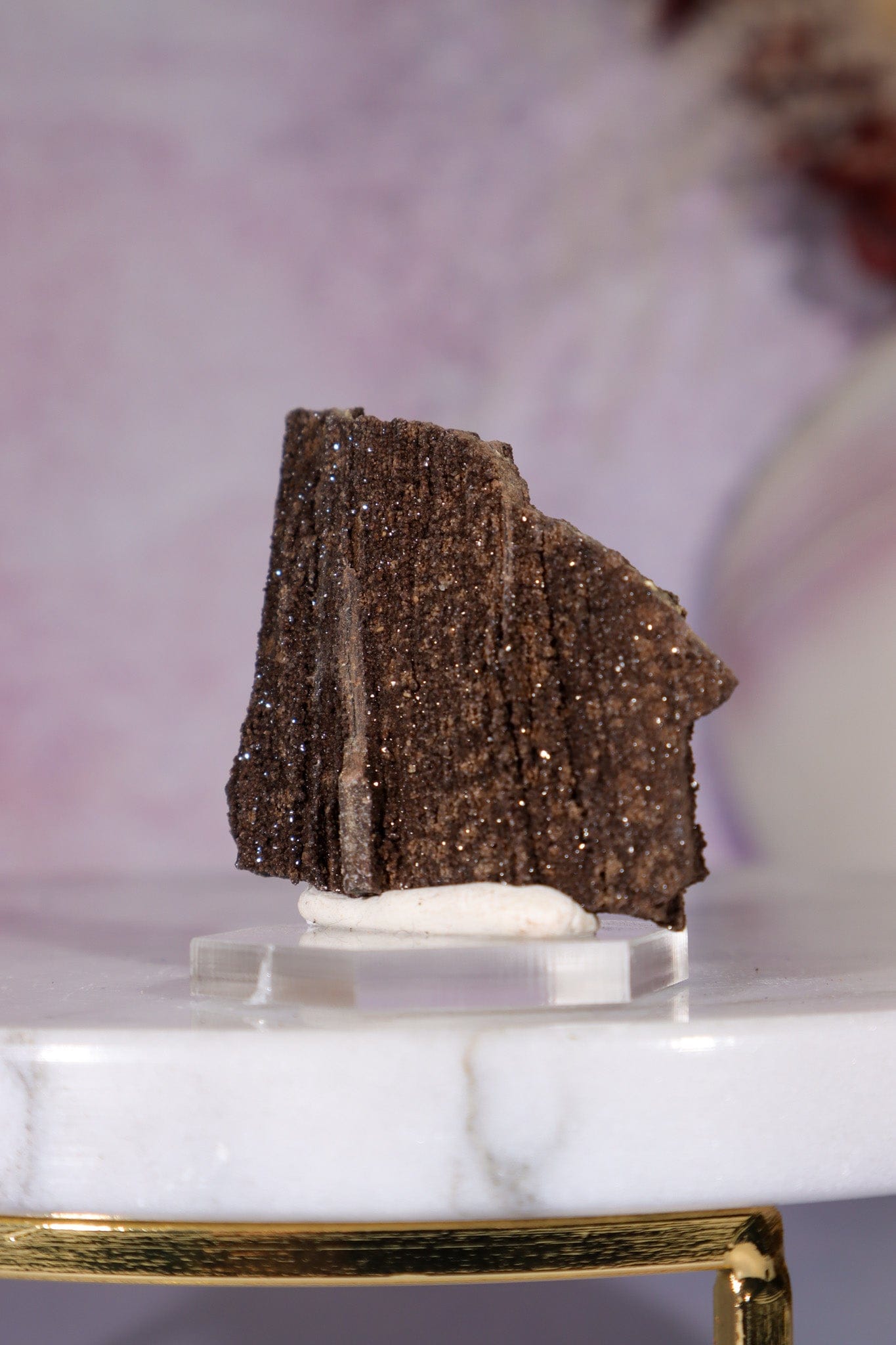 Permineralized wood 3.7cm, Germany Fossil Tali & Loz Crystals