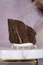 Permineralized wood 3.7cm, Germany Fossil Tali & Loz Crystals