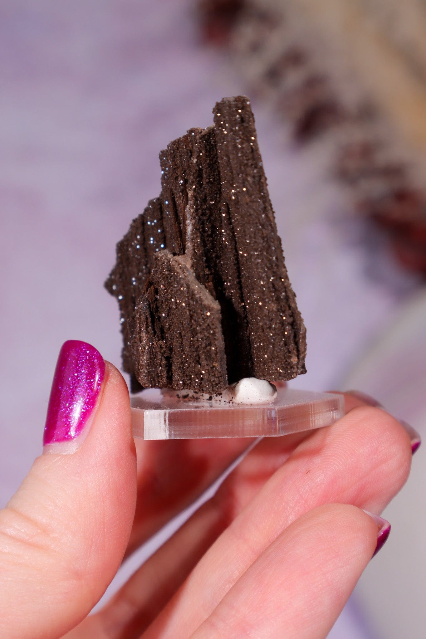 Permineralized wood 3.7cm, Germany Fossil Tali & Loz Crystals