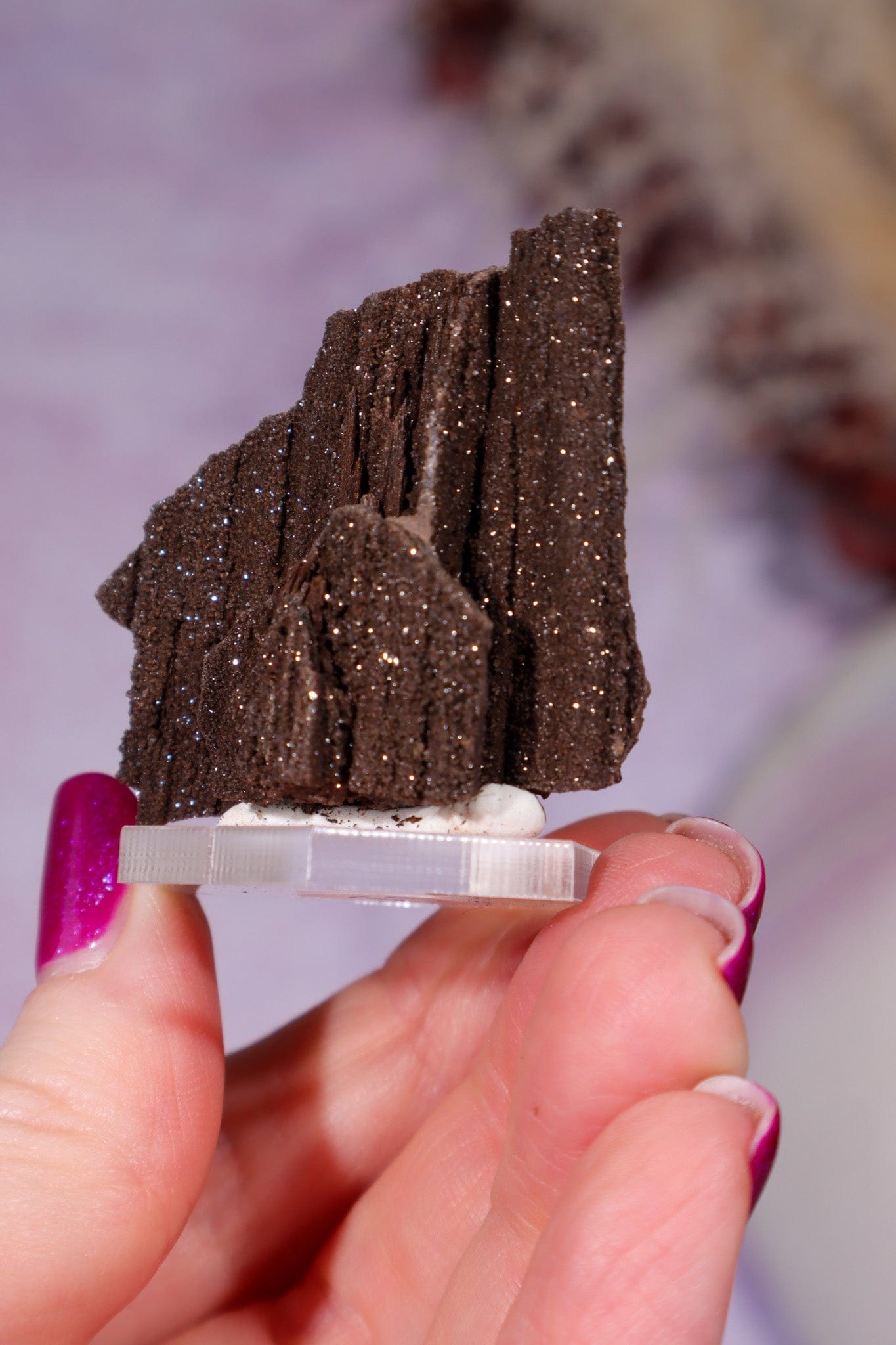 Permineralized wood 3.7cm, Germany Fossil Tali & Loz Crystals