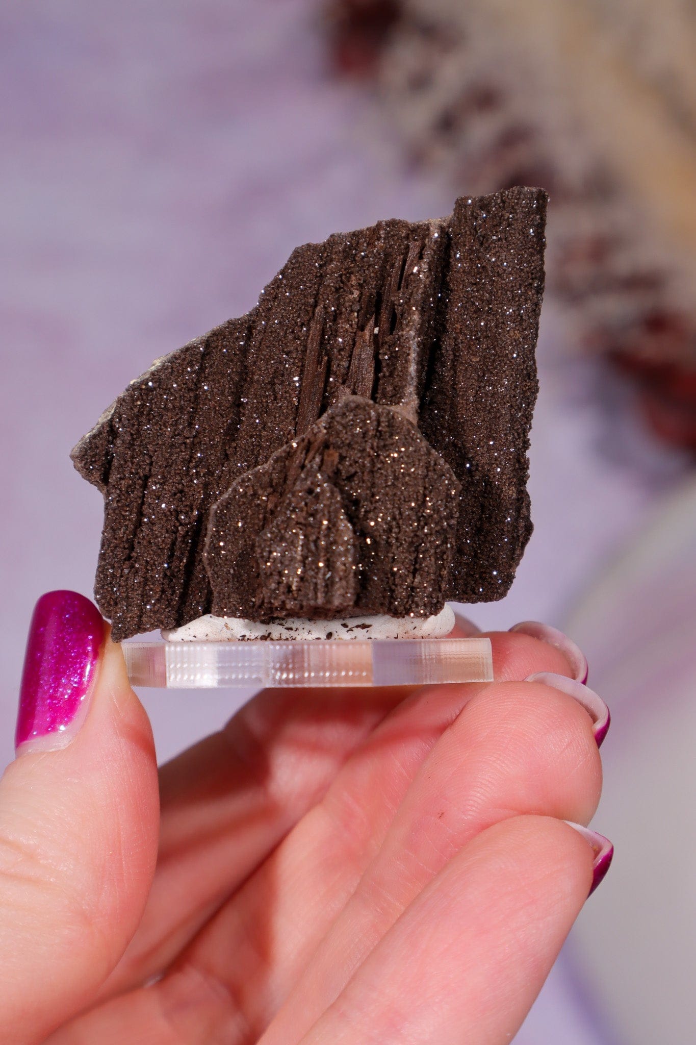 Permineralized wood 3.7cm, Germany Fossil Tali & Loz Crystals