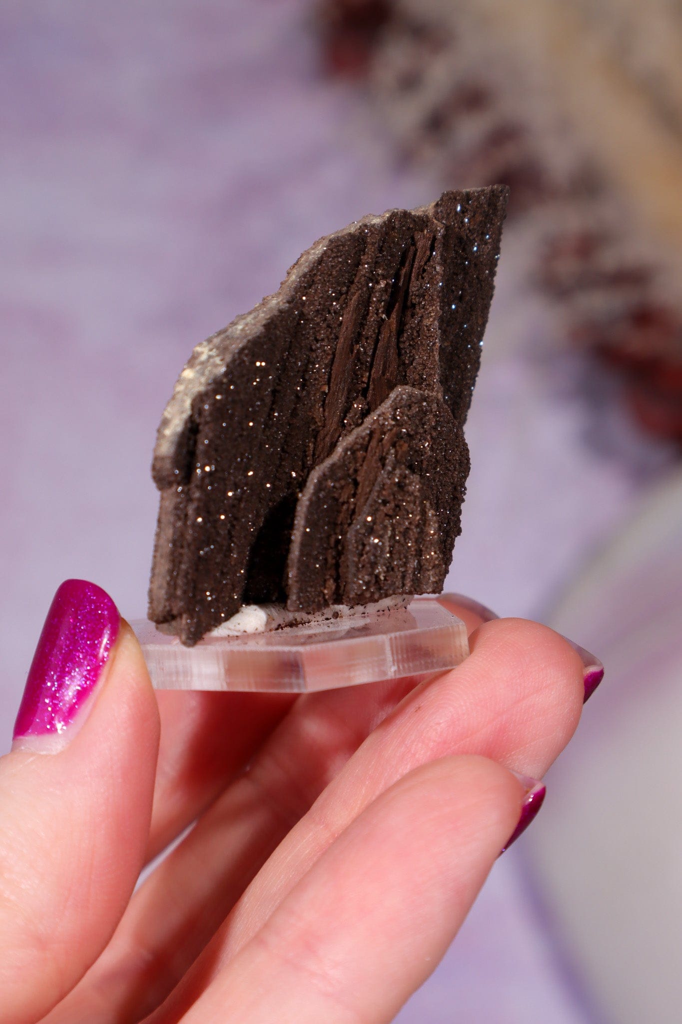 Permineralized wood 3.7cm, Germany Fossil Tali & Loz Crystals