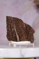 Permineralized wood 3.7cm, Germany Fossil Tali & Loz Crystals