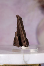 Permineralized wood 3.7cm, Germany Fossil Tali & Loz Crystals