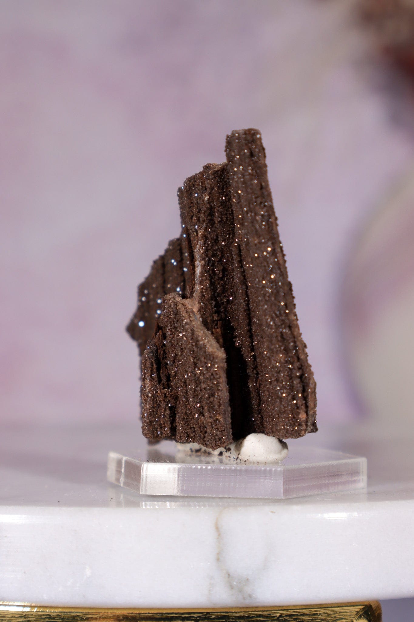 Permineralized wood 3.7cm, Germany Fossil Tali & Loz Crystals