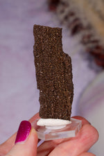 Permineralized wood 5.7cm, Germany Fossil Tali & Loz Crystals