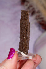 Permineralized wood 5.7cm, Germany Fossil Tali & Loz Crystals