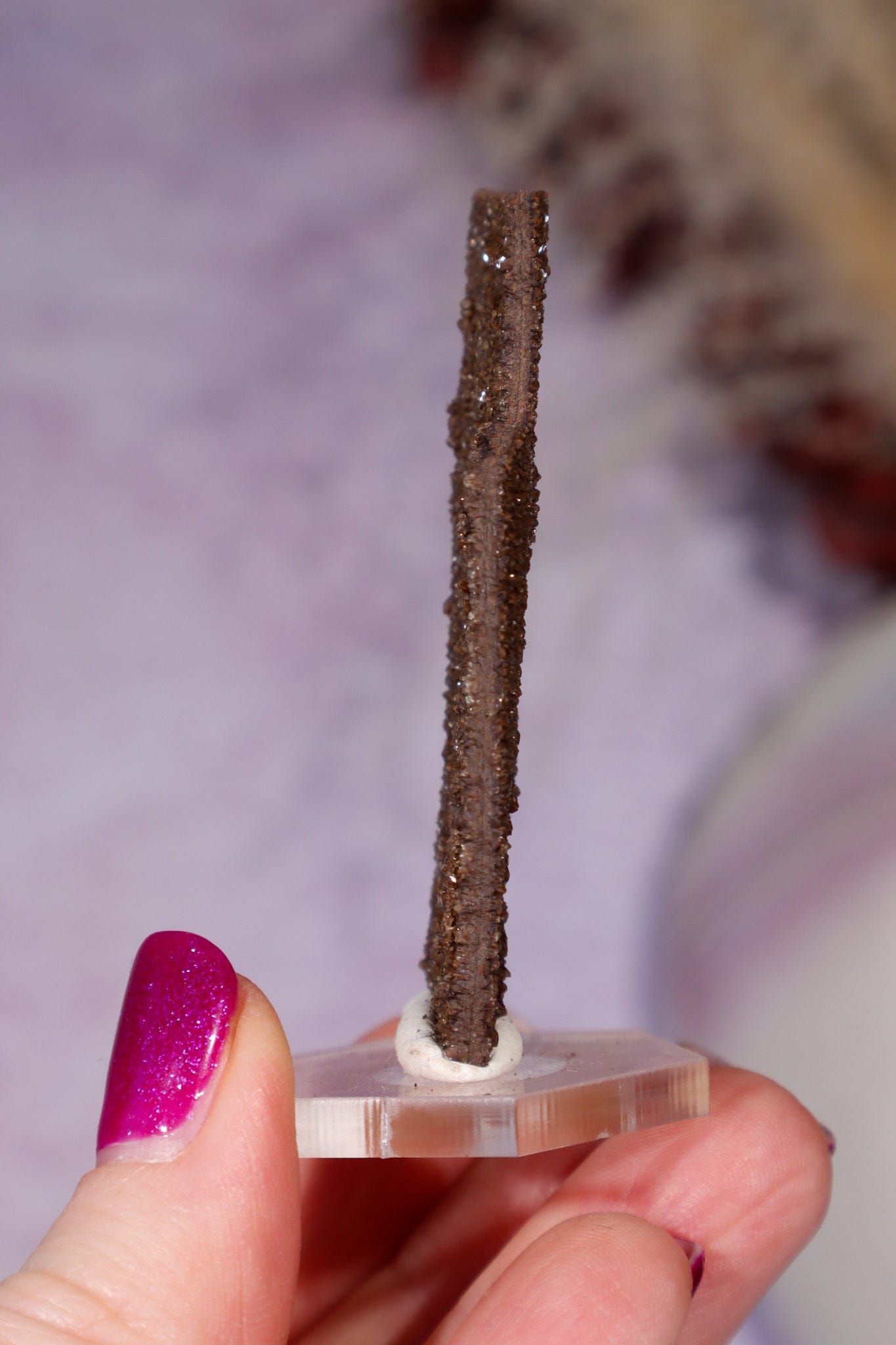 Permineralized wood 5.7cm, Germany Fossil Tali & Loz Crystals