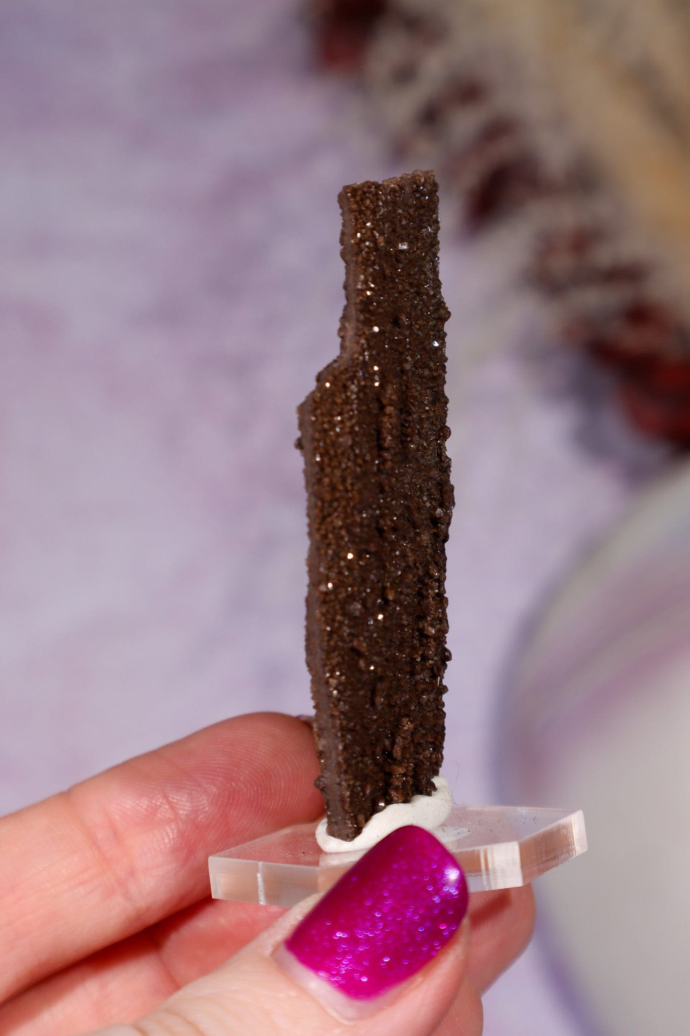 Permineralized wood 5.7cm, Germany Fossil Tali & Loz Crystals