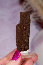 Permineralized wood 5.7cm, Germany Fossil Tali & Loz Crystals