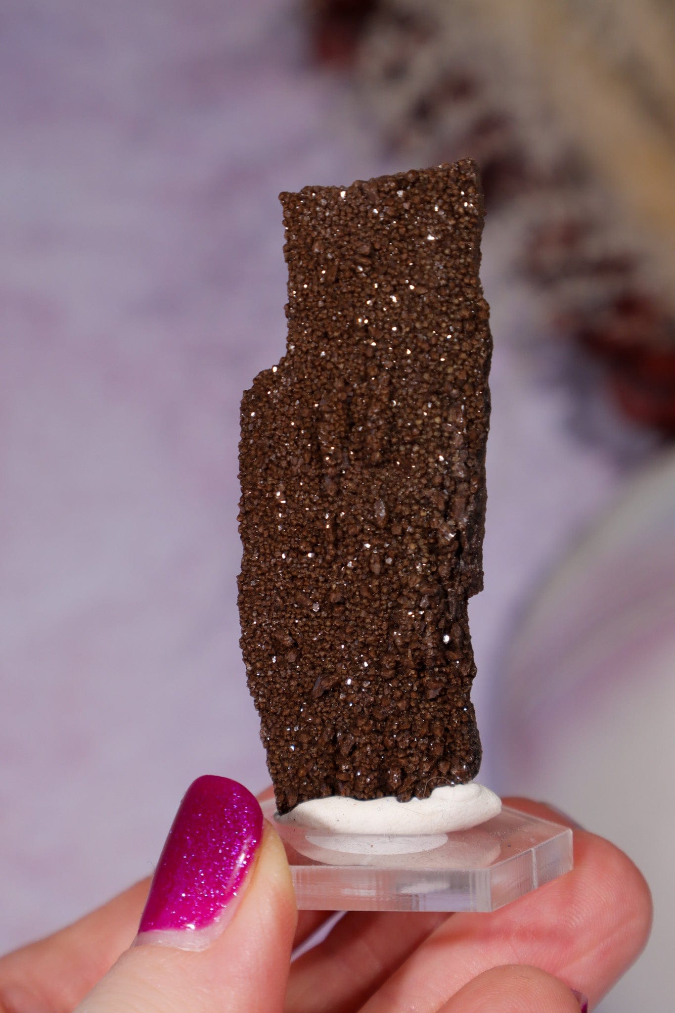 Permineralized wood 5.7cm, Germany Fossil Tali & Loz Crystals