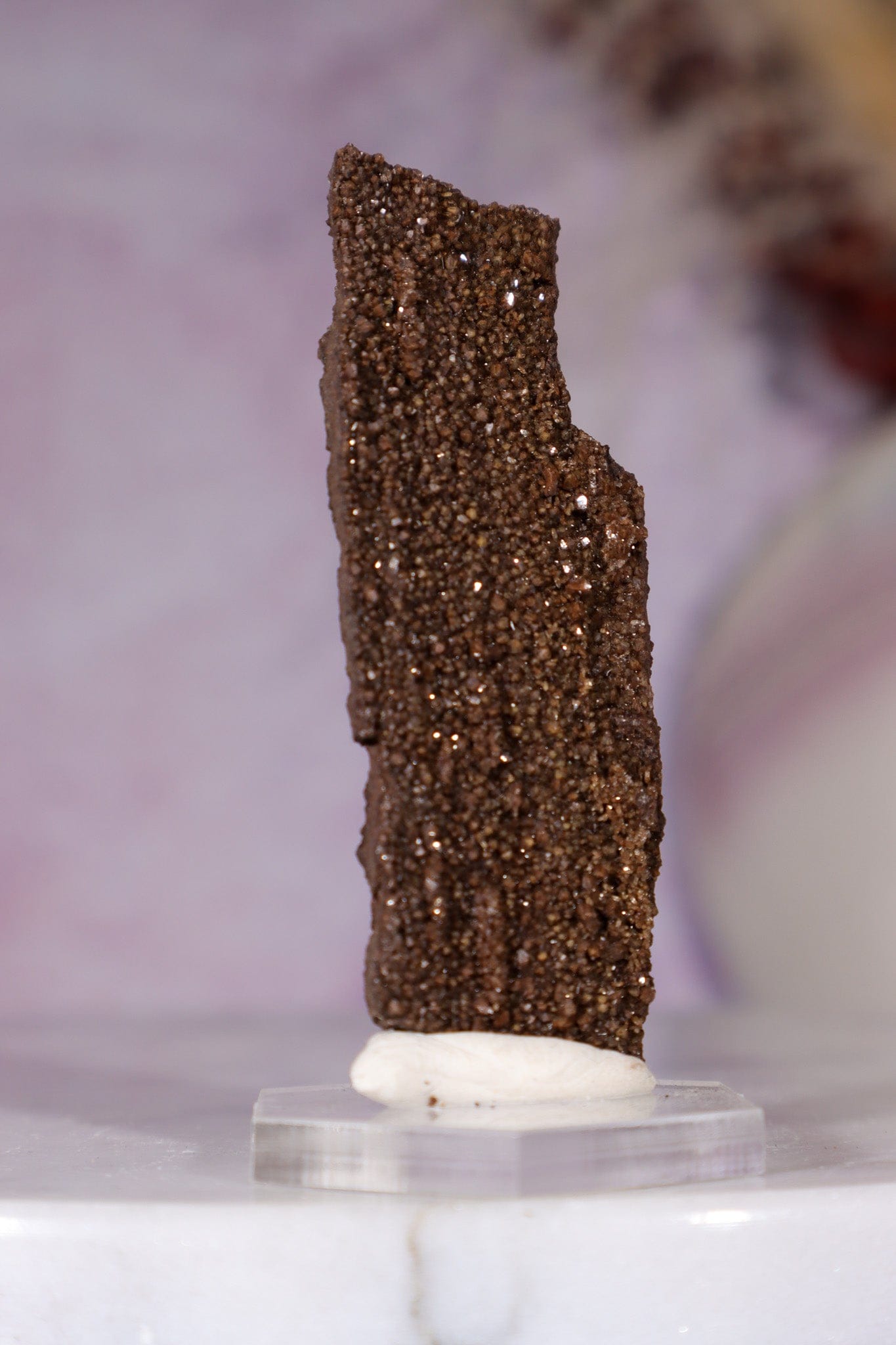 Permineralized wood 5.7cm, Germany Fossil Tali & Loz Crystals