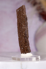 Permineralized wood 5.7cm, Germany Fossil Tali & Loz Crystals