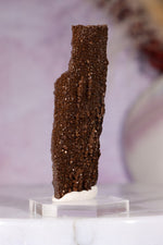 Permineralized wood 5.7cm, Germany Fossil Tali & Loz Crystals